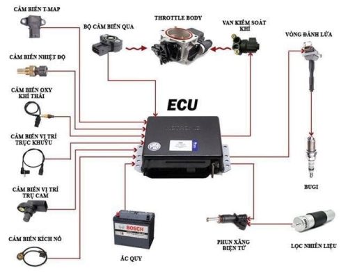ecu trên ô tô là gì